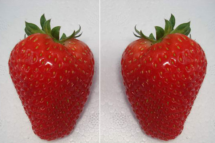 Линоза внешний вид ягоды