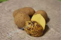Сорт Импала картофель семенной 2 кг