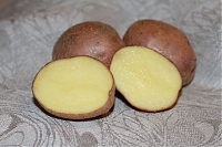 Сорт Ред Скарлетт. Картофель семенной 2 кг.