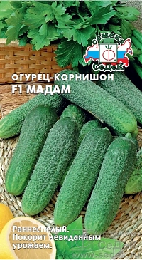 Огурец Мадам F1 седек