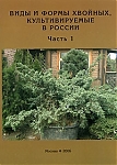 Виды и формы хвойных, культивируемые в России. Часть 3