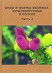Виды и формы хвойных, культивируемые в России. Часть 2