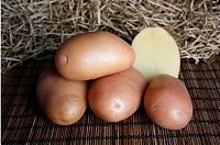 Сорт Ажур картофель семенной 2 кг