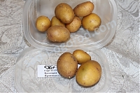 ОпубликованТовар или услугамини клубни Colombo семенной картофель