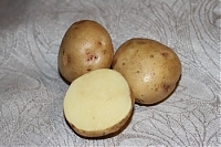 сорт Луговской. Картофель семенной 2 кг