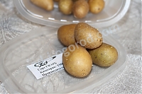 Мини-клубни картофель Скарб