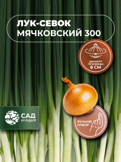 Лук-севок Мячковский 300 РАЗМЕР