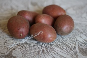 Сорт Беллароза Bellarosa картофель семенной