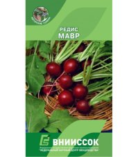 Редис Мавр