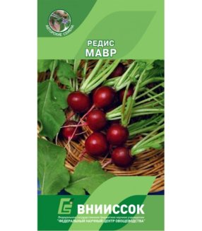 Редис Мавр