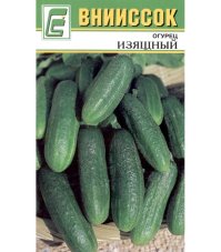 Огурец Изящный