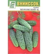 Огурец Муромский 36