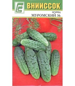 Огурец Муромский 36