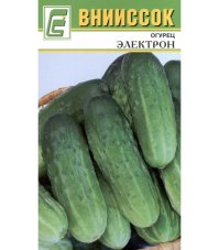 Огурец Электрон 2