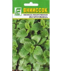 Мелисса лекарственная Жемчужина
