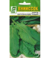 Щавель Крупнолистный