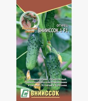 Огурец ВНИИССОК F1