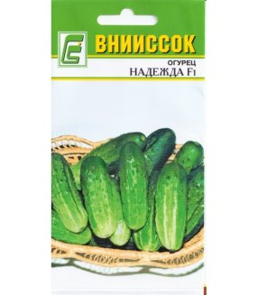 Огурец Надежда F1 вниисок