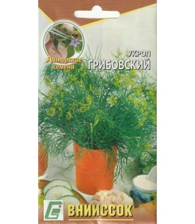 Укроп Грибовский