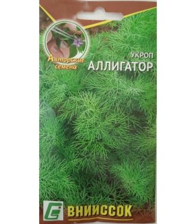 Укроп Аллигатор