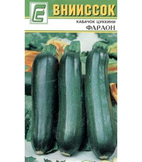 Кабачок Цуккини Фараон внииссок