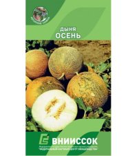 Дыня Осень