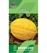 Дыня Услада