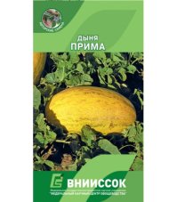 Дыня Прима