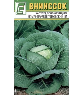 Капуста Номер первый грибовский 147