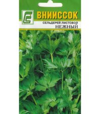 Сельдерей листовой Нежный вниисок