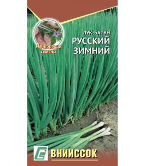 Лук-батун Русский зимний