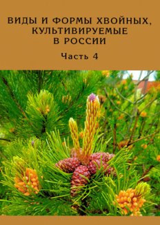 Виды и формы хвойных, культивируемые в России. Часть 4 (Сосна)