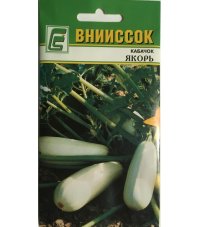 Кабачок белоплодный Якорь