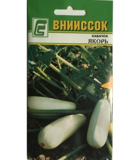 Кабачок белоплодный Якорь