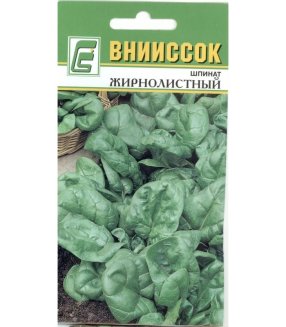 Шпинат Жирнолистный