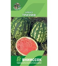 Арбуз Триумф