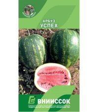 Арбуз Успех