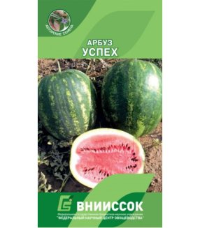 Арбуз Успех