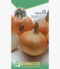 Лук репчатый Золотые Купола