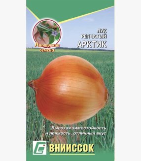 Лук репчатый Арктик