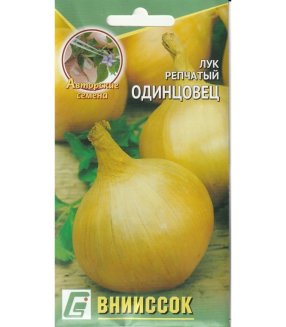 Лук репчатый Одинцовец вниисок