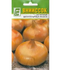 Лук репчатый Штутгартер Ризен