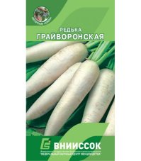 Редька Грайворонская вниисок