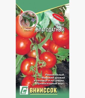 Томат Благодатный