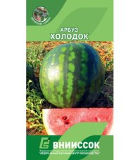 Арбуз Холодок