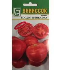 Томат Восход ВНИИССОКа