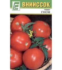 Томат Гном