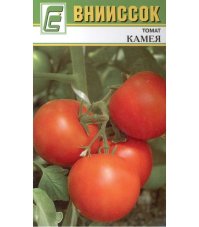 Томат Камея