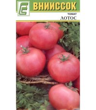 Томат Лотос