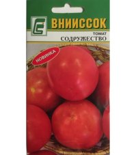 Томат Содружество